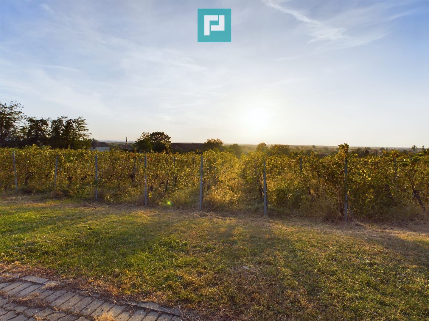 Spațiu comercial - Crama Pivnițele Birăuaș - Poză 30