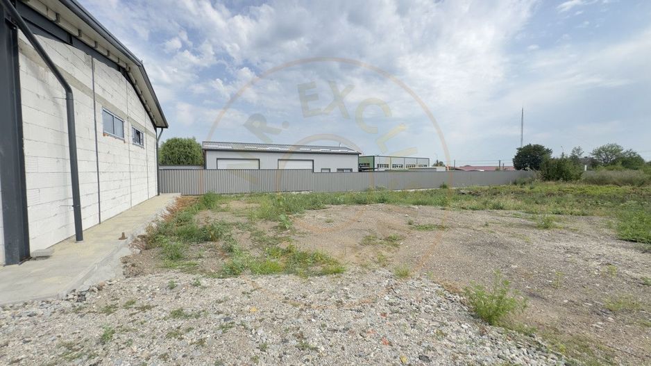 Inchiriere Hală Producție/Depozitare 300 mp, Teren 1791 mp - Carei - Poză 9