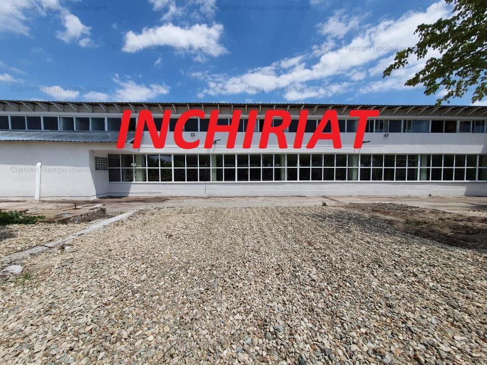 Hala Depozitare de Inchiriat Pitesti - Poză 1