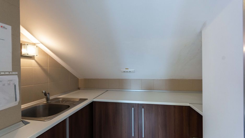 Aviatiei | Smaranda Braescu | Vila reprezentativa de inchiriat - Poză 34