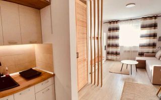 Garsoniera | Etaj 1 | Mobilata | Renovata | Vasile Aaron - Poză 1