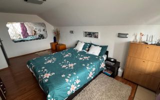 Casa tip locuință familială cu vedere panoramică Alba-Micesti - Poză 2