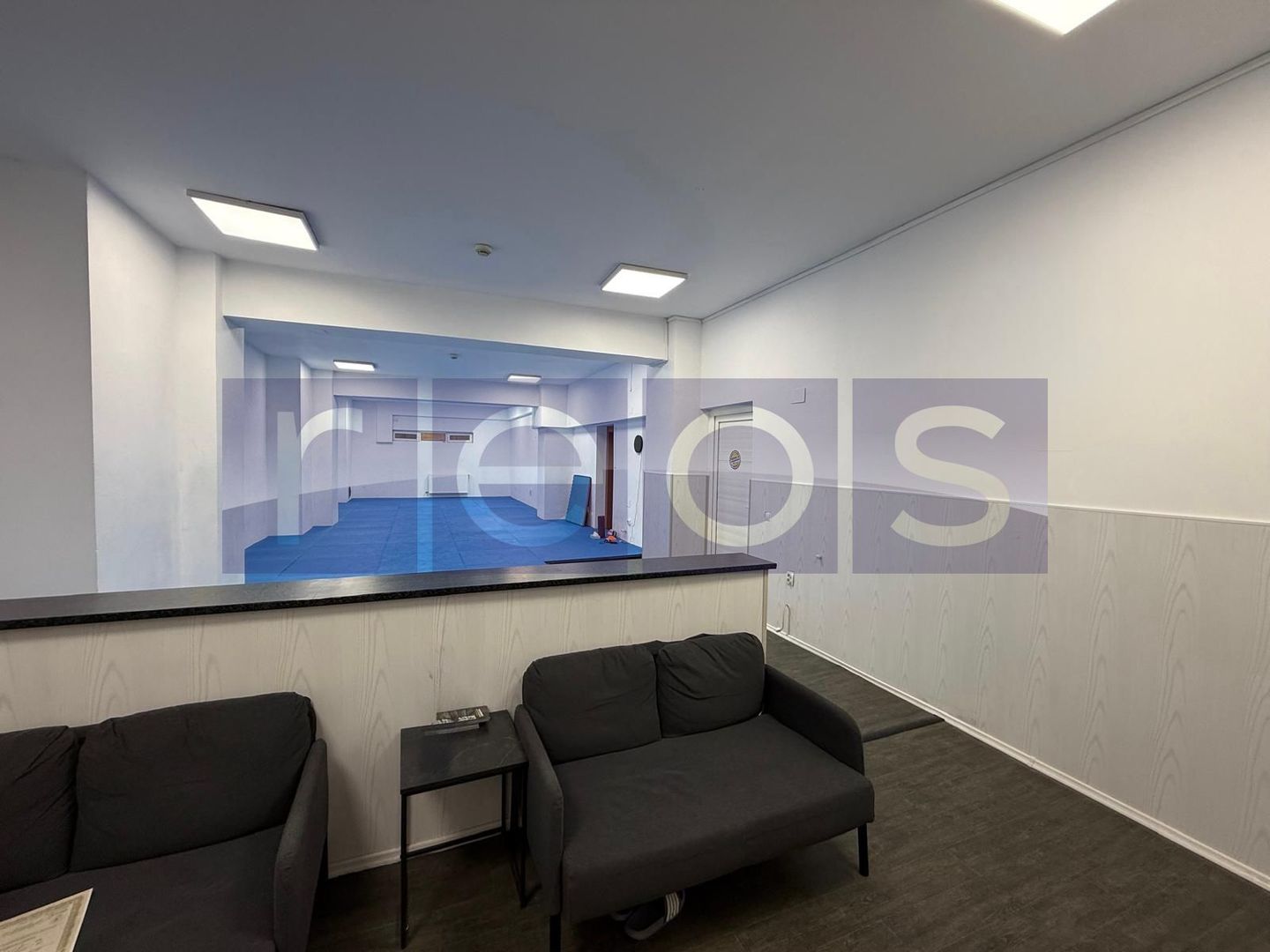 INCHIRIERE SPATIU DEMISOL | BARBU VACARESCU  | 196MP | - Poză 4