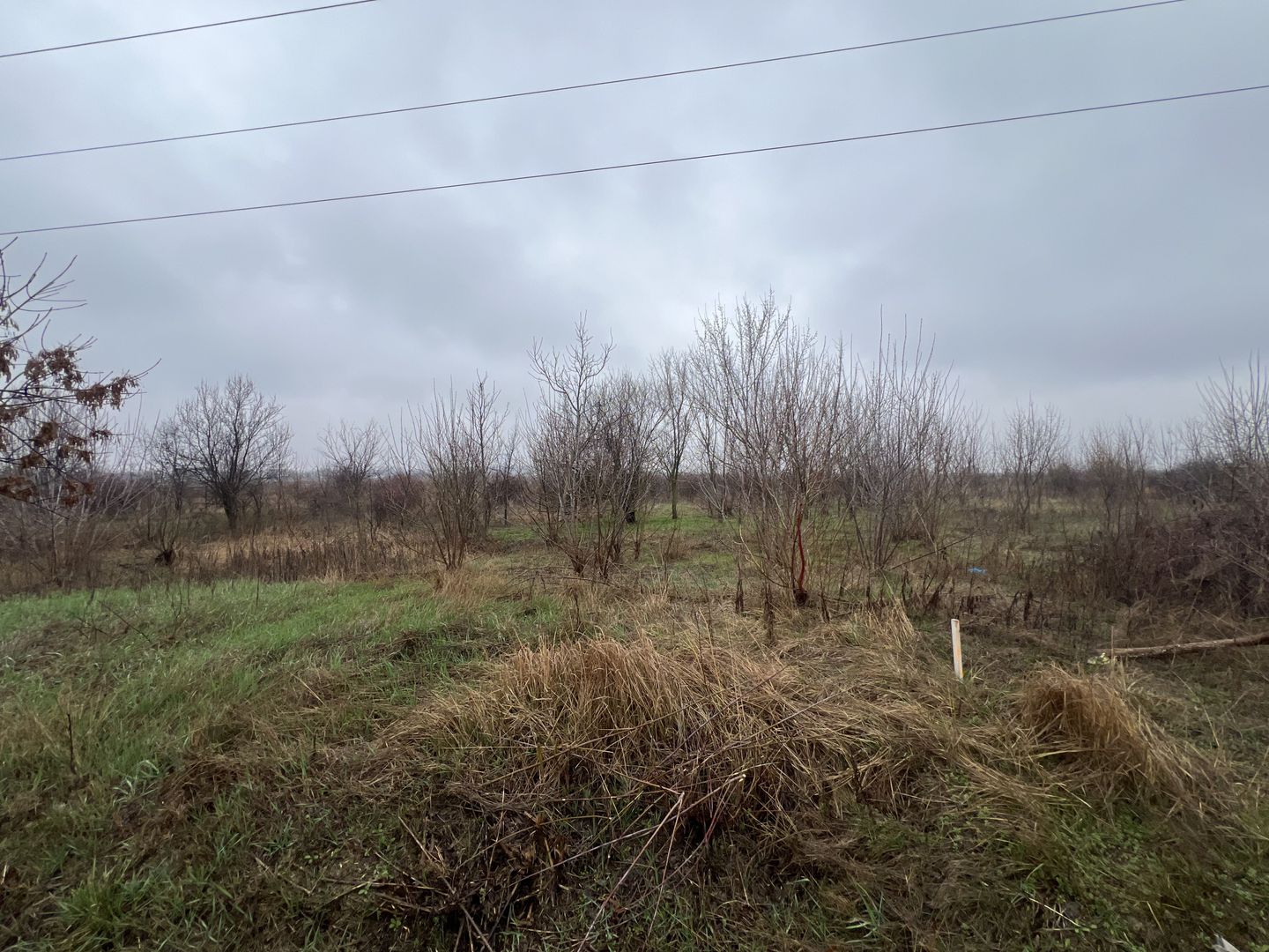 Teren la DN7 - ideal investitie (Benzinarie, spalatorie, hala) - Poză 4