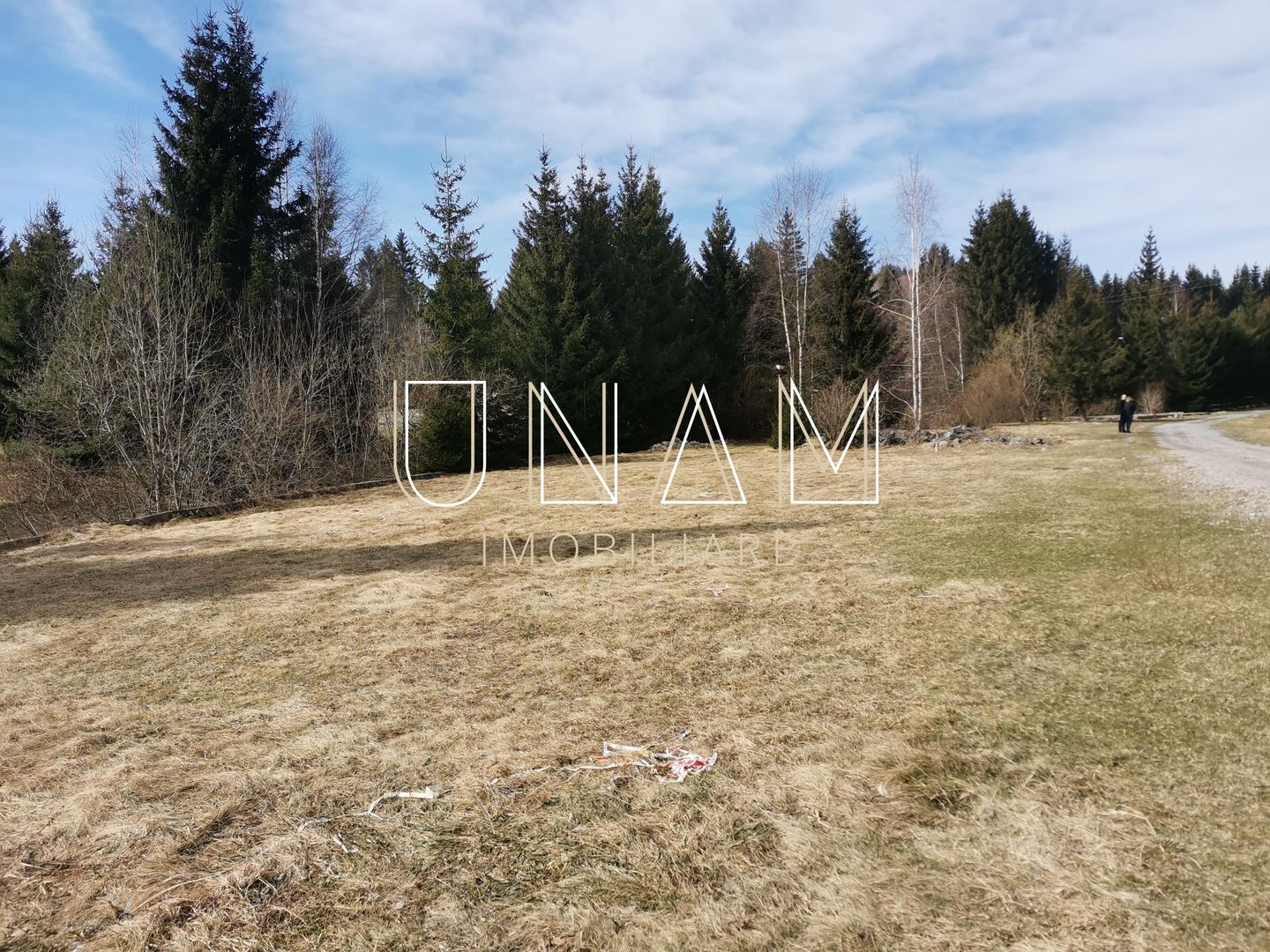 ***OFERTA NOUA*** Teren lângă Scenă, în Poiana Lupului, Gărâna - Poză 14