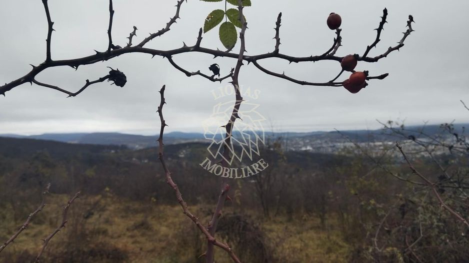 Teren 1000 mp-ideal casa de vacanta, investitie-Zona Valea Budacului - Poză 3