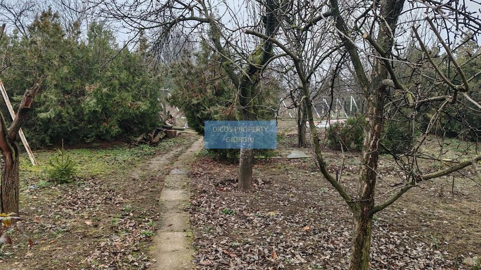 Teren 2.600 mp, utilități, Str. Merișor – Giurgiu - Poză 11