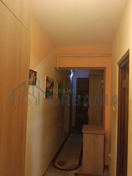 Apartament 1 cameră decomandat, 42 mp, Vișan, Strada Sf. Ilie Nr. 80 - Poză 8
