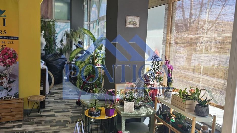 Spatiu Comercial zona Dacia - Poză 6