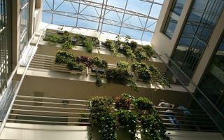 Spatiu birouri premium | Cladire moderna | Zona Ultracentrala - Poză 32