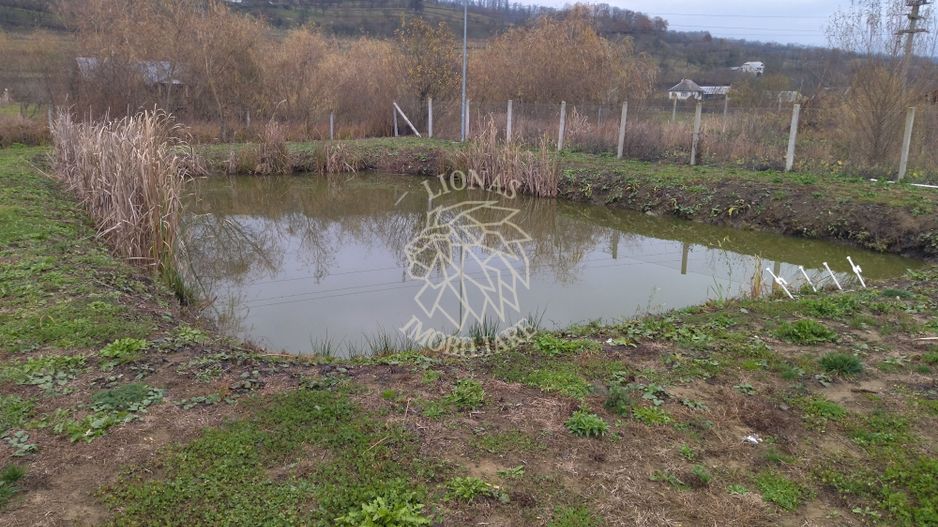 Casa de Lux 7 camere-270 mp-curte amenajata-teren 2312 mp-Salva - Poză 9