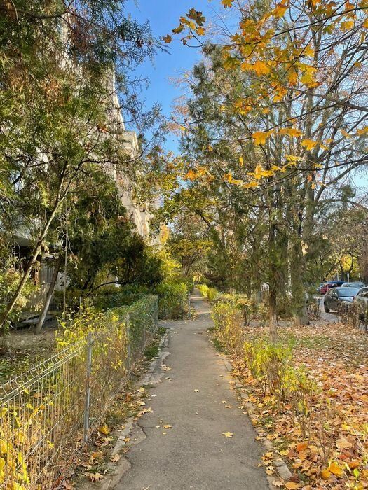 Apartament 2 camere semidecomandat – Parter – Mazepa 1 - Poză 2