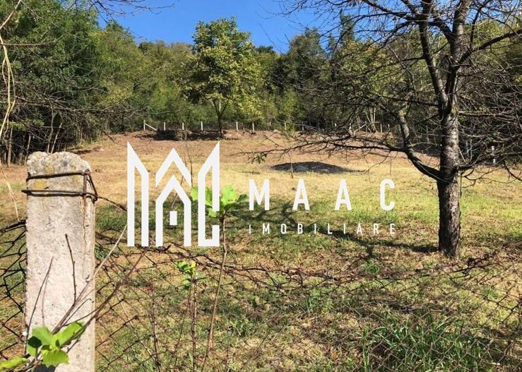 Casa de vanzare | teren intravilan| Troianu| 2166mp - Poză 4