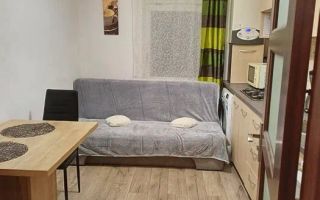 Garsoniera in cartier de case, la curte, pet friendly, Centrul istoric - Poză 3