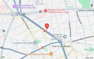 Apartament select Art Deco 221 mp | Ultracentral | Lascar Catargiu - Poză 16