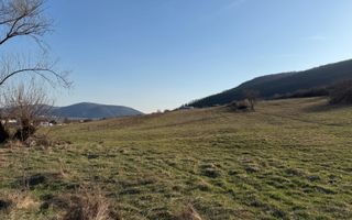 ​Oportunitate Investiție: Teren Intravilan 4.100 mp – Viișoara - Poză 2