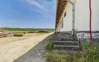 Hale 1800 mp fiecare – acces autostradă, Teiu, HD - Poză 18