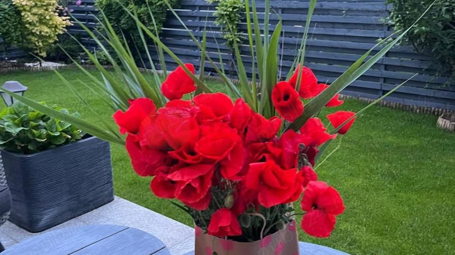 Vilă Individuală de Lux - Poză 4