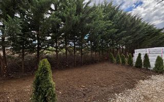 Apartament 2 camere cu grădină proprie de 50 mp - Poză 2