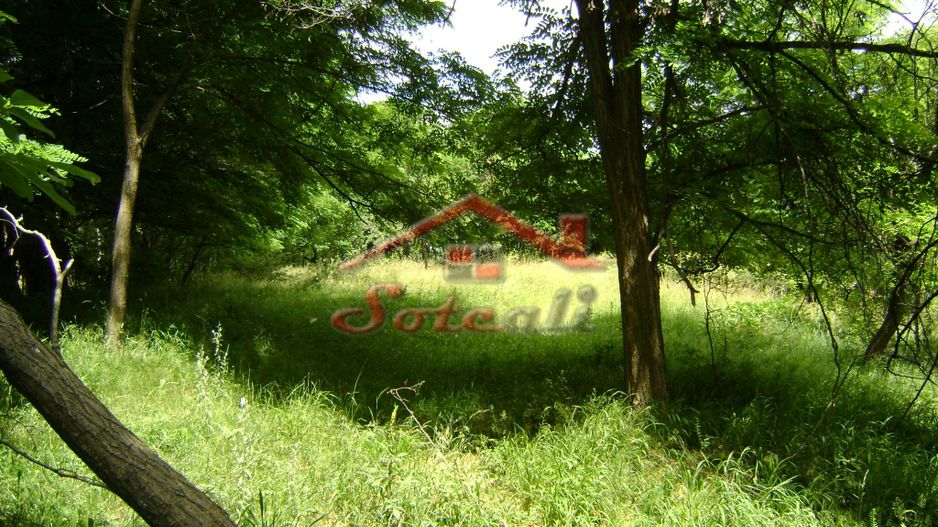 Teren de vanzare Cornu 3074 mp - Poză 10