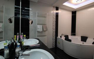 Sat Giroc, ideal pentru diverse afaceri sau pentru locuit. - Poză 15