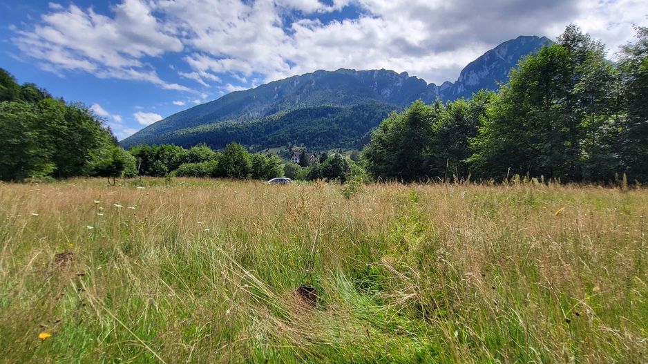 Plaiul Foii, teren pretabil casă de vacanță, pensiune, comision 0% - Poză 8