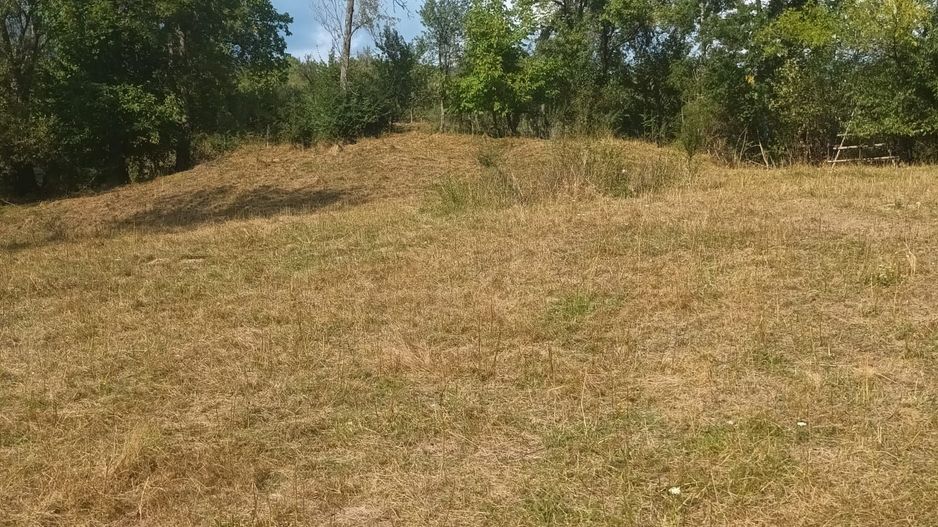 Teren de vanzare Coebeni-Turburea-Arges - Poză 4