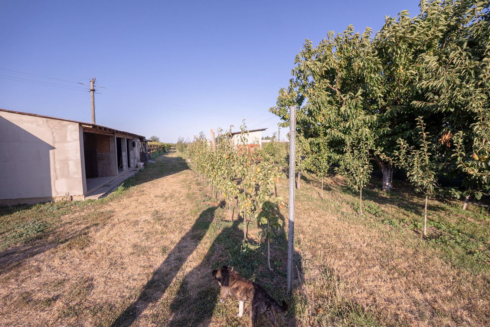Casă de vânzare Furceni – 7 camere, teren 8.000 m - Poză 31