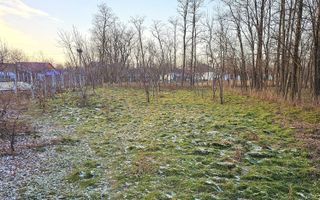 Particular, Vanzare urgenta Casa + teren com Grozesti jud Iasi - Poză 3