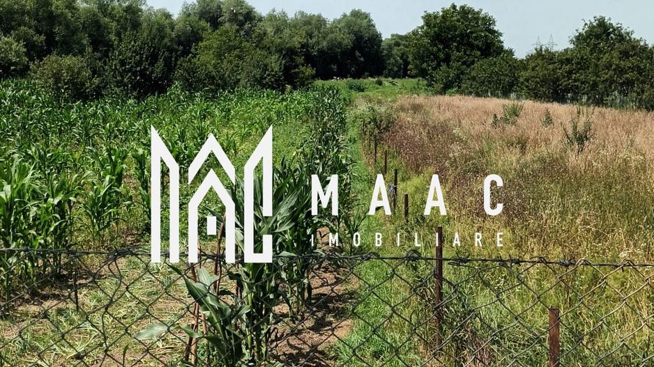 Vand teren intravilan | 1.638 mp | Bungard - Poză 3