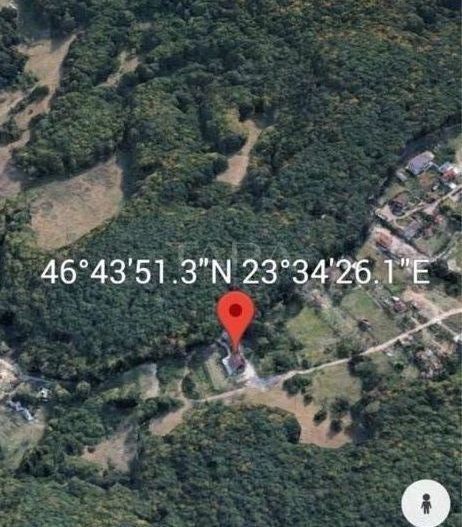 Casa deosebita, 4 camere, zona Faget - Poză 6