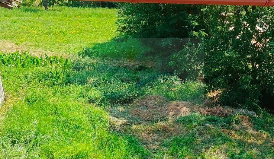 Casa/Vilă de vânzare Ciprian Porumbescu/Suceava - Poză 28
