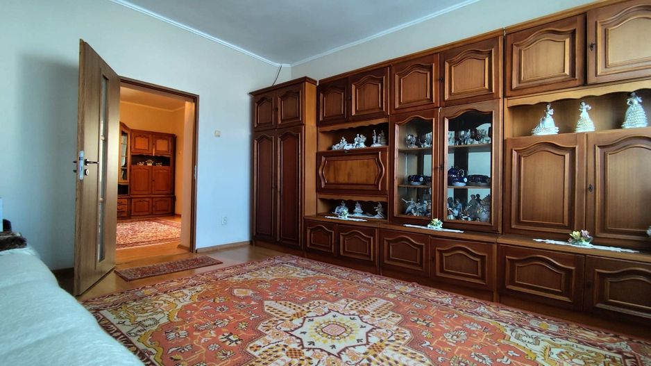 Casa la tara - teren 2826 mp, acces auto, in Sacadat, Bihor - Poză 9