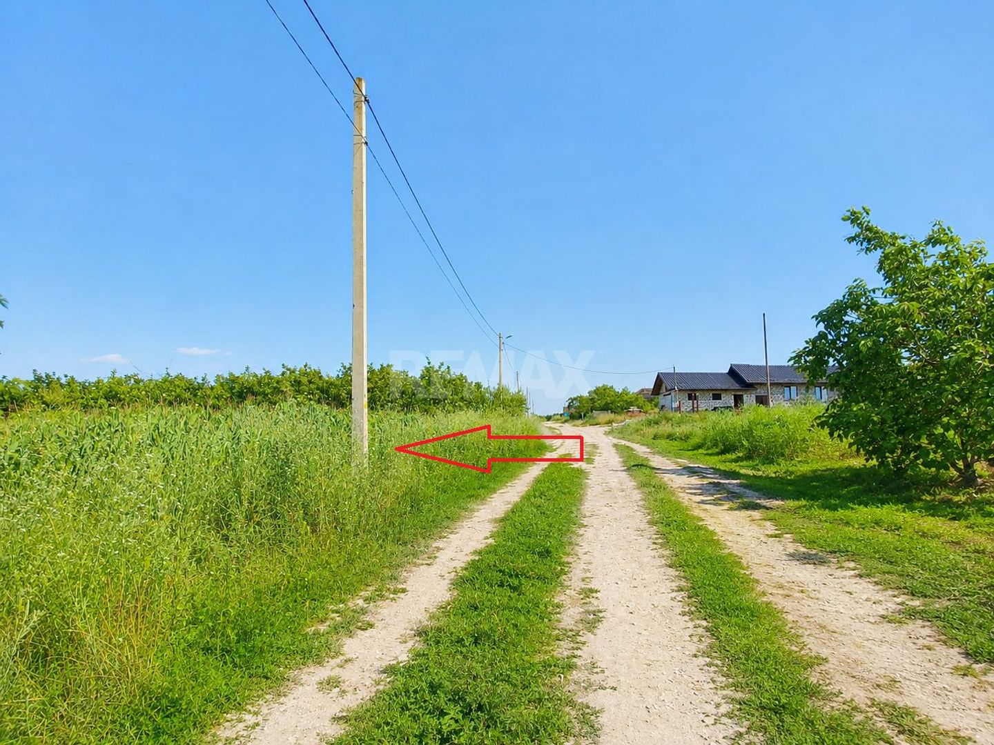 TEREN PENTRU CONSTRUCȚIE – 12 ARI | SPEIA- ANENII NOI - Poză 4