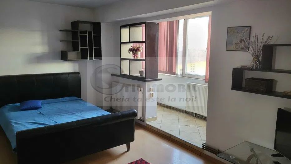 Apartament 1 camera Pacurari - 299 EURO - Poză 2