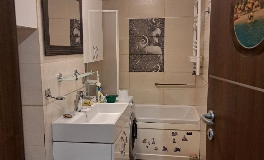 Garsoniera zona Costin Georgian - Lucretiu Patrascanu - Poză 5