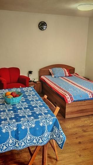 Închiriez garsonieră la casă, potrivită pentru o singură persoană. - Poză 3