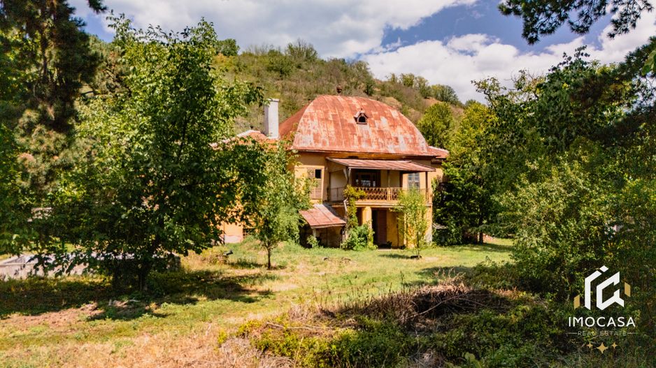 Vila Conac boieresc contelui Fabia 1920 de vânzare Păuliș Arad 2,4 ha - Poză 7