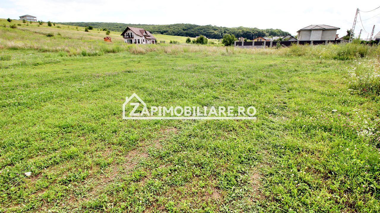 Teren 6.800mp teren cu deschidere de 100 m la drum asfaltat - Poză 1