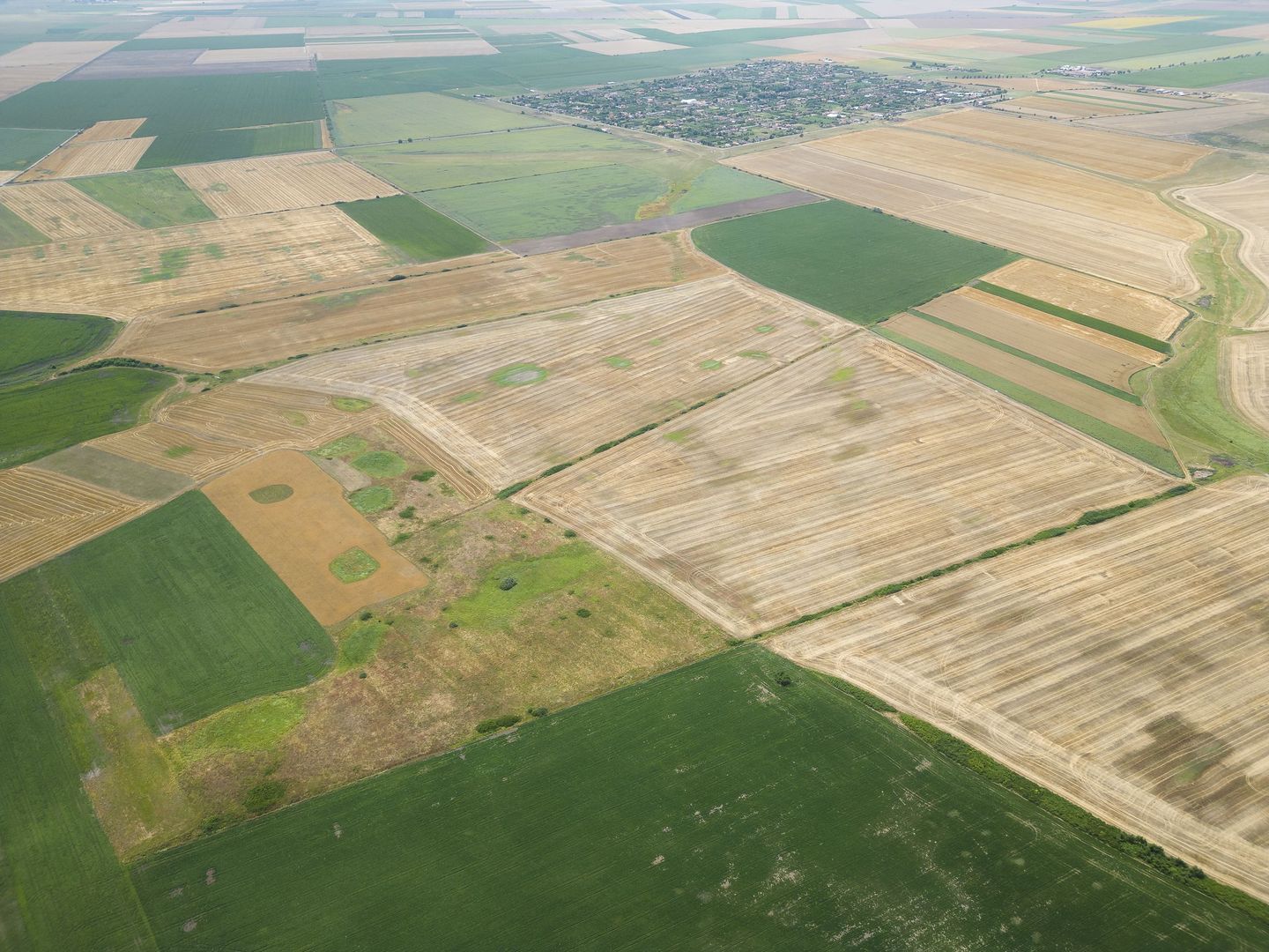 Teren arabil de 40 hectare în Zarand - Poză 3