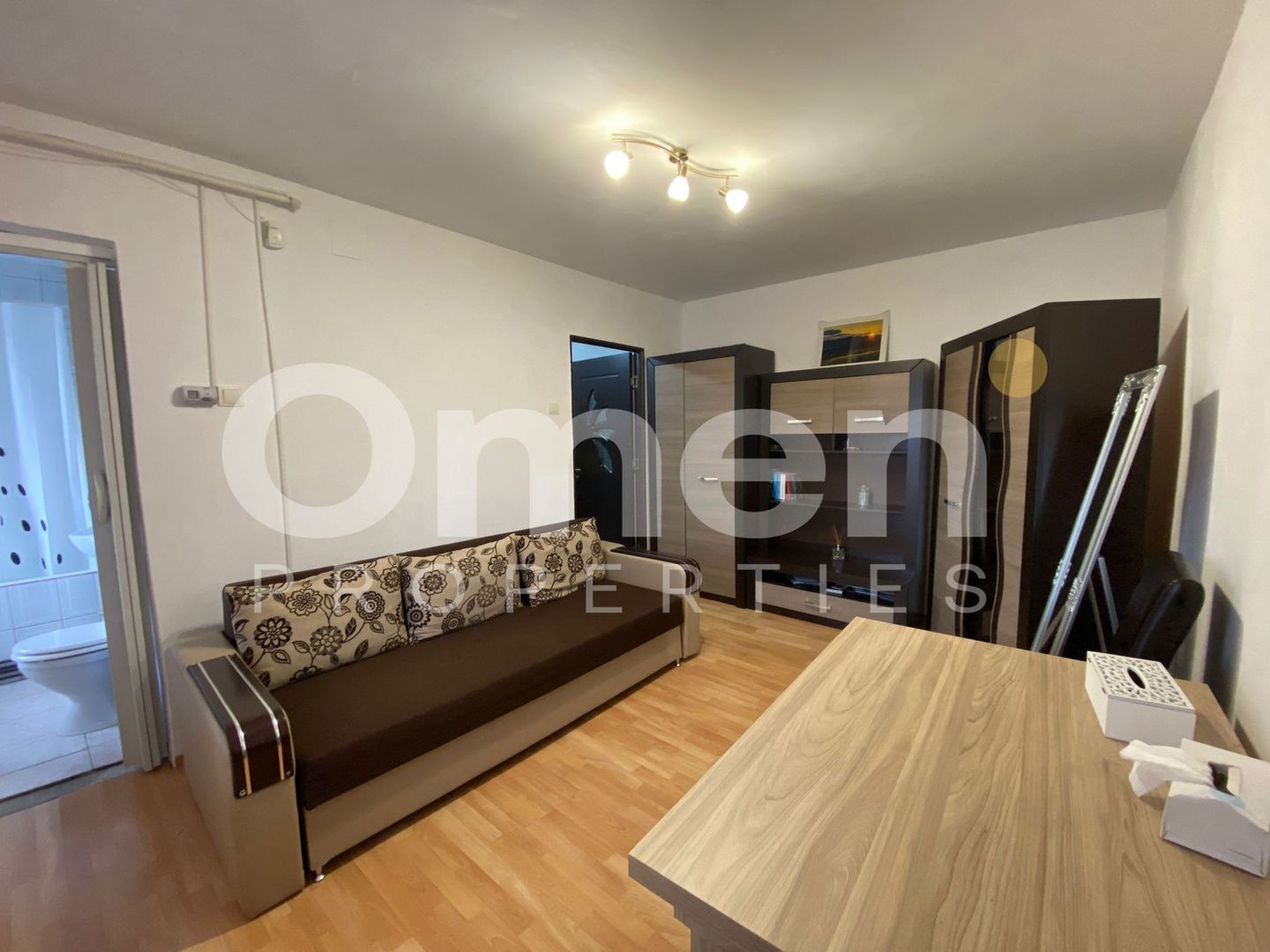 Garsoniera renovata, 25 mp, aproape de Kaufland Alecsandri - Poză 1