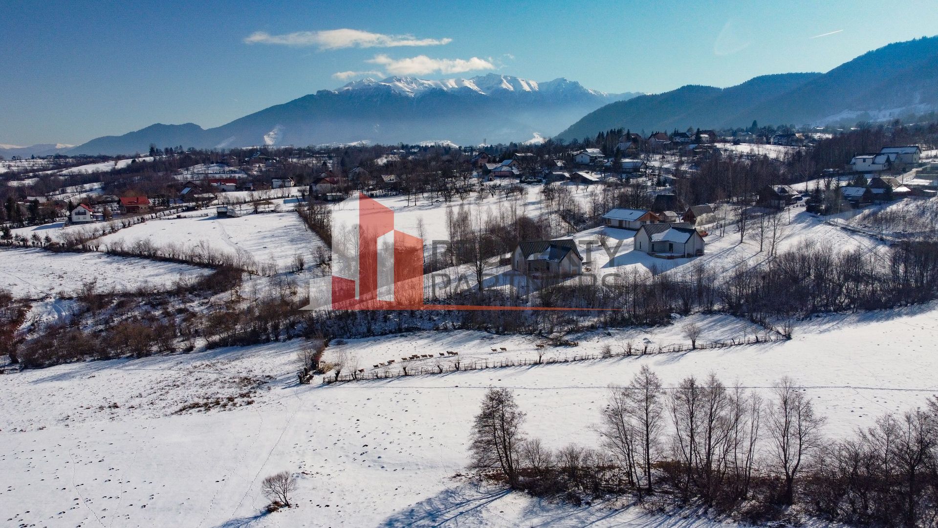 Case de vanzare Bran Tohanita - Poză 5