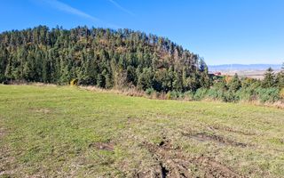 Teren Intavilan I Poiana Angelescu Sacele - Poză 19