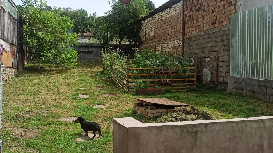 CASA CU 5 CAMERE ZONA DAMBU - Poză 5