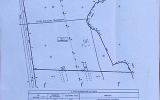 Teren 50000 mp, intravilan, Reghin, 0% comision - Poză 2