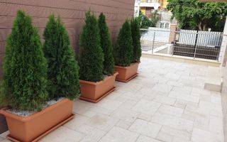 Ion Mihalache (1 Mai)- Ciuperca- Av Popisteanu- Expozitiei- Domenii - Poză 16