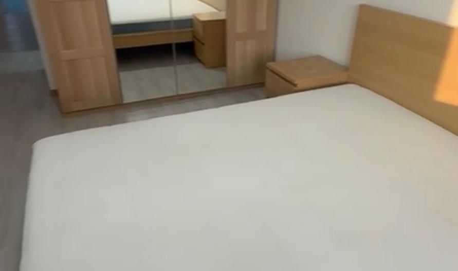 Inchiriere Apartament 3 Camere Theodor Pallady - Poză 4