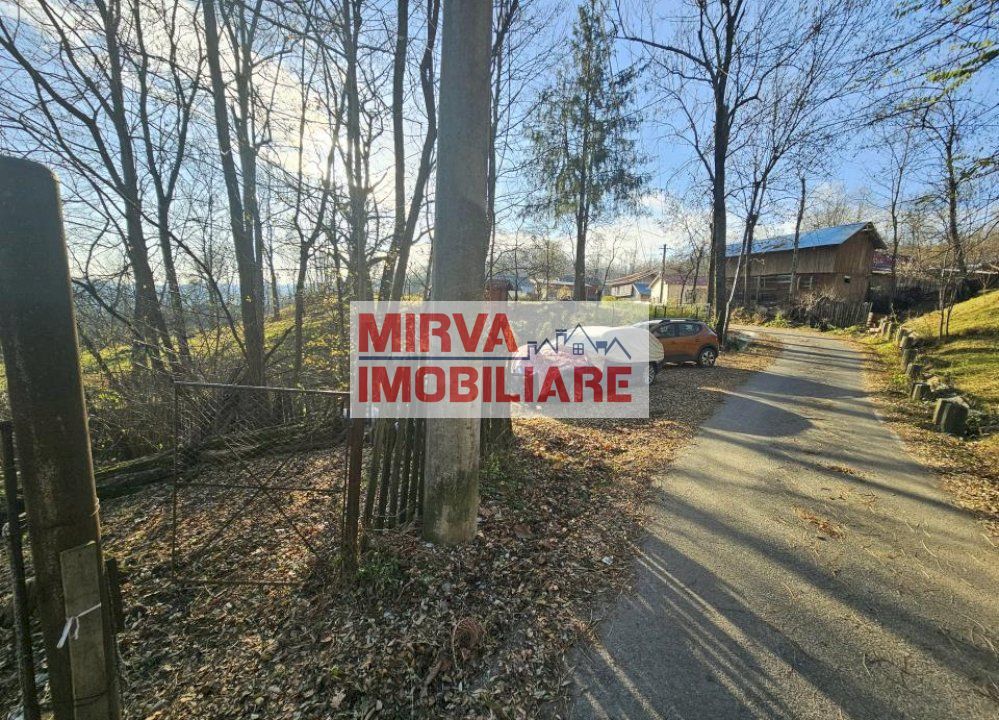 Vanzare casa plus anexa, teren 3843 mp, in Sat Pietriceaua - Poză 4