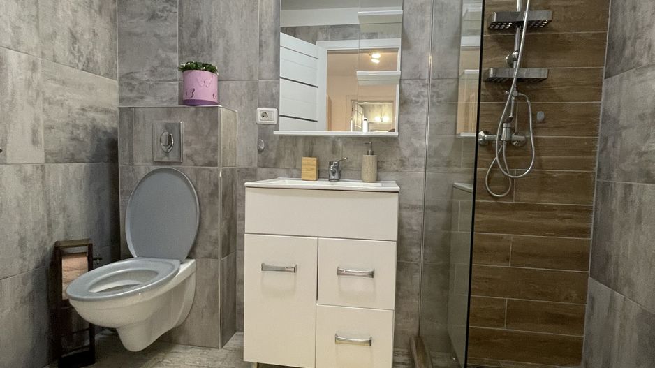 Duplex de inchiriat in Mosnita Noua. - Poză 10