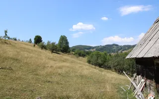 Poiana Sohodol I 5600 MP I Trei corpuri cladiri I Utilitati - Poză 40